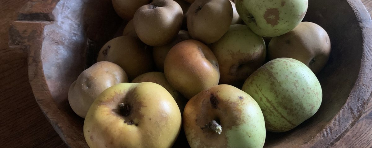A wooden bowl of apples on a kitchen table